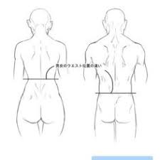 To draw the human back, identify the angle of the spine, and indicate it on canvas, then find the spines of the scapulas from which to connect and construct all the muscles of the upper back. 180 Character Anatomy Back Ideas Anatomy Back Anatomy Character Design