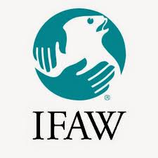 Ifaw International Fund For Animal Welfare Animal Welfare Marine Mammals Animals