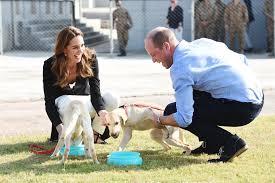 The early years of their marriage saw william and kate represent the queen on trips abroad. How Kate Middleton And Prince William Aced Their Relatable Tour Of Pakistan Vanity Fair