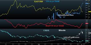 You can follow bitcoin's 5 year performance here (updated every day). Chart Look At Usdx Yields Gold Bitcoin