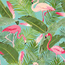 We did not find results for: Tropical Seamless Vector Flamingo And Floral Summer Pattern For Wallpapers Backgrounds Textures Textile Cards Royalty Free Cliparts Vectors And Stock Illustration Image 78200752