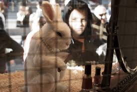 Check spelling or type a new query. 10 Indian Cosmetic Companies That Do Not Practice Animal Testing