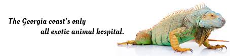The avian & exotics department at red bank veterinary hospitals provides primary, referral, and emergency services for many exotic pet species. Avian Exotic Animal Hospital Of Georgia