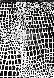 Animal Print Desenler Dokular Ve Tasarim
