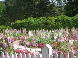 Maybe you would like to learn more about one of these? The Flowers Are So Beautiful You Would Have Thought They Were In The Lewis Ginter Picture Of Williamsburg Virginia Tripadvisor