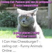 Ceiling cat is watching you rub karma out of old memes. 25 Best Memes About Ceiling Cat Meme Ceiling Cat Memes