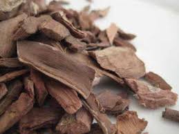 For preparing decoction, take bark powder (5 gm) and boil in water (200 ml) till volume reduces to one fourth. Arjuna Bark Terminalia Arjuna Luminescents