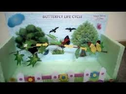 3d Model Of Butterfly Lifecycle Craft Rosalie Blog Butterfly Life Cycle Project Butterfly Butterfly Life Cycle