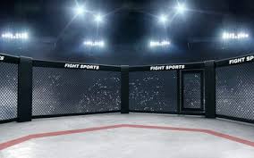 3d Render Mma Arena Mma Octagon Cages Ad Mma Render Arena Cages Octagon Ad Mma Workout Mma Mma Videos