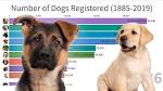 Top 10 most popular dog breeds in the US (2020) - CNN