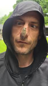 Nephilia clavipes. In my yard. Tepoztlán, Morelos.