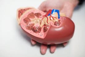 Perkara yang pasti yang pesakit perlu lakukan adalah membuat aktiviti hemodialisis. Kegagalan Buah Pinggang Punca Simptom Dan Rawatan The Diagnosa