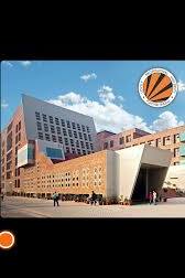 All about Lovely Professional University✅✅#lpu #btech #engineering #engineeringcollege #lpuhostel