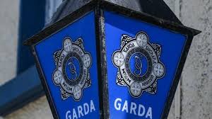 Man and teen arrested after firearm incident in Dublin