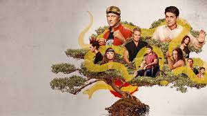 Strike first, strike hard, no mercy. Cobra Kai Netflix Official Site