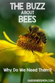 Maybe you would like to learn more about one of these? The Buzz About Bees Why We Need Them Gardener S Path