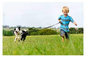 Maybe you would like to learn more about one of these? Family Vet For Your Family Pets Family Pet Centre