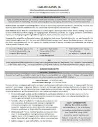 The correct resume format (chronological, functional or combination) highlights your best credentials. Executive Resume Samples Professional Resume Samples