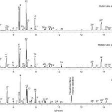 Flammable hydrocarbon samples can be measured at very low levels with our flame. Gas Chromatography Flame Ionization Detector Fid Results Of The Outer Download Scientific Diagram