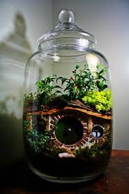 R Pics R Pics Air Plants Decor Terrarium Diy Fairy Garden