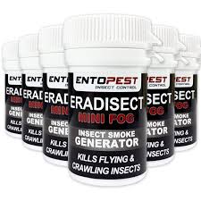 Experts strongly recommend that you stick to a single crop so you can concentrate all your time, effort and resources to ensure it grows healthy and lush. Entopest 6 X Eradisect Mini Fog Smoke Foggers For Control Of Cluster Fly Moths Fleas Bugs Beetles Buy Online In Bahamas At Bahamas Desertcart Com Productid 62078880
