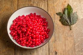 Maybe you would like to learn more about one of these? Foraging And Cooking Highbush Cranberries Or Viburnum Lentago