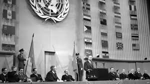 Image result for universal Declaration Of Human Right