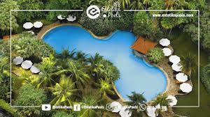Nah buat yang masih galau cari hunian dengan fasilitas kolam renang mewah dan terbaik di jakarta, anda membaca artikel yang tepat. 7 Kolam Renang Terbaik Hotel Surabaya Dengan View Super Amazing