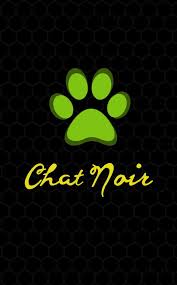 24 miraculous ladybug hd wallpapers and background images. Pin On Phone Wallpapers
