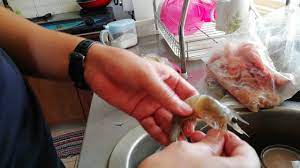 Chumming atau mengebom adalah cara memancing yang dilakukan dengan mengebom pakan untuk menarik perhatian ikan. Cara Cara Siang Udang Youtube