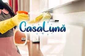 Produse naturale pentru curata casa. Casa LunÄ Produse De Curatenie Pentru Casa La Preturi Mici