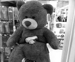 Would this be capitalized like a proper sentence? Veni Vidi Amavi Via Tumblr Teddy Girl Teddy Bear Teddy