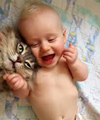 Buy from local sellers or find a home for your cats and kittens today. Katlina Siberians Kittens Katlina Siberians Siberian Kittens For Sale In Dallas Texas
