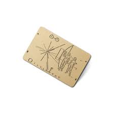 Image result for pioneer plaque