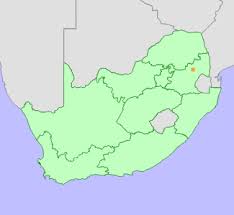 Image result for Isoetes welwitschii