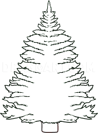 Search images from huge database containing over 620,000 coloring pages. How To Draw A Pine Tree Coloring Page Trace Drawing