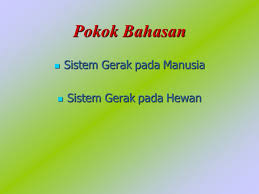 Soal dan jawaban sistem gerak manusia pilihan ganda 1. Bab 4 Sistem Gerak Ppt Download