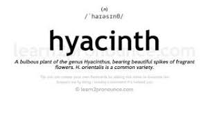 Your name is your destiny, heart's desire, and personality. Hyacinth Pronunciation And Definition Youtube