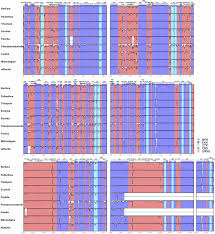 Image result for Tricalysia semidecidua
