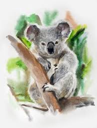 Pin By Hannjesch Animal Illustratio On Watercolor Koala Drawing Watercolor Animals Koala