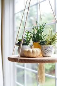 If you love plants, you'll love the freedom plant stands give you to enjoy your plants anywhere at home. 30 Indoor Decorative Plants To Bring Freshness