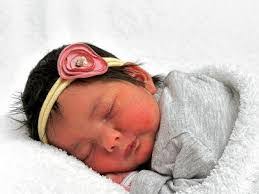 Paula Pabst's Instagram, Twitter & Facebook