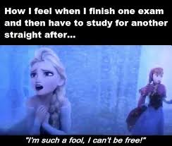 Pin By Natalie L On Teaching Exams Memes Funny Frozen Quotes School Memes