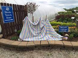 Check spelling or type a new query. How To Protect Plants From Frost