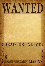 Póster con la imagen de sogeking se busca, personaje del manga y anime japonés one piece. Fanart One Piece Wanted Poster