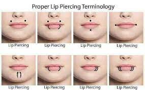 Doesnt Matter Were They Are Theyre All Lip Piercings Lip Piercing Terminology Is Simple Lip Piercing Piercings Piercing