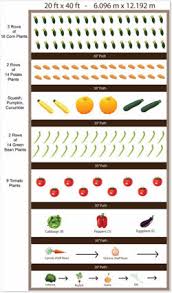 vegetable garden worksheets garden diary zone chart