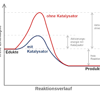 Wie Schmieröl im Räderwerk - scinexx.de