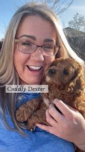 Karina Townsend's Instagram, Twitter & Facebook