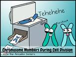 Displaying 8 worksheets for amoeba sisters video recap natural selection answers. Amoeba Sisters Handouts Science With The Amoeba Sisters